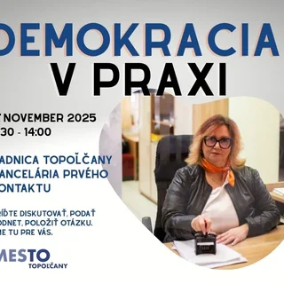 DEMOKRACIA V PRAXI