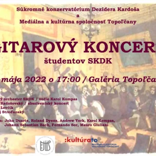 Gitarový koncert v Galérii Topoľčany