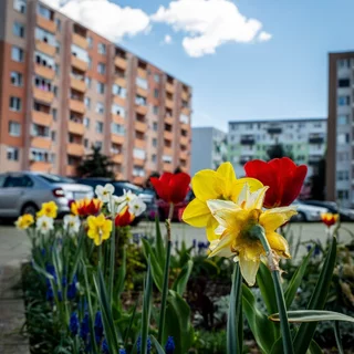 MESTO TOPOĽČANY - STAROSTLIVOSŤ O VEREJNÝ PRIESTOR
