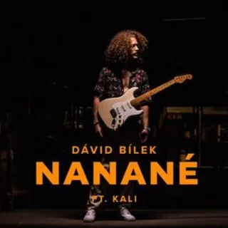 TOPRÁNO - DÁVID BILEK